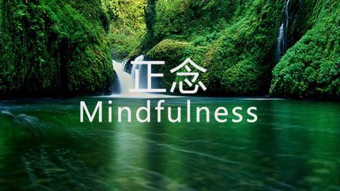 正念Mindfulness精品视频